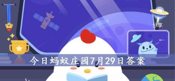 自动扶梯的阶梯旁边有一排毛刷有什么用